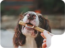 Image of Snacks and Treats