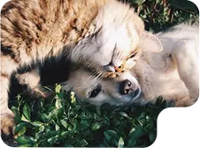 Image of Care and Hygiene Products